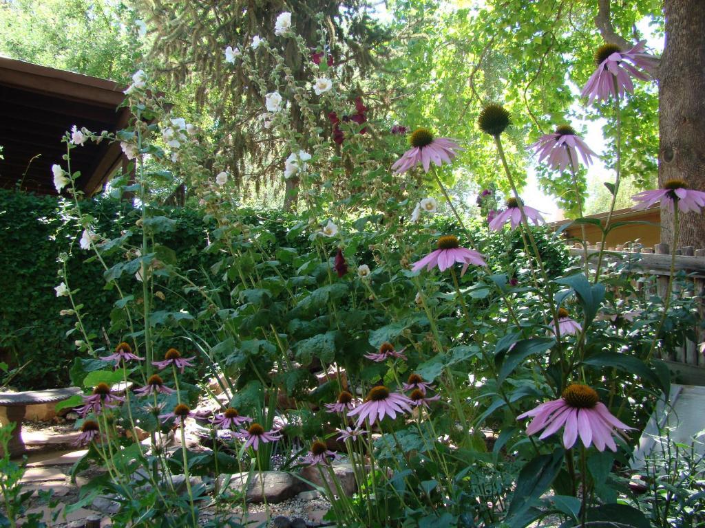 The Historic Taos Inn Dış mekan fotoğraf